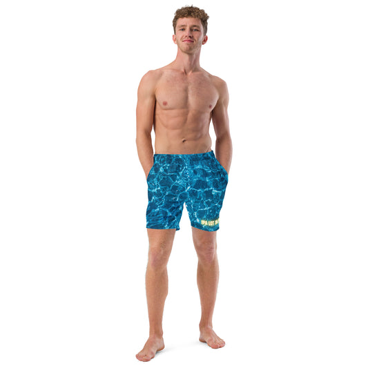 IPA Lot In Pools Swim Trunks