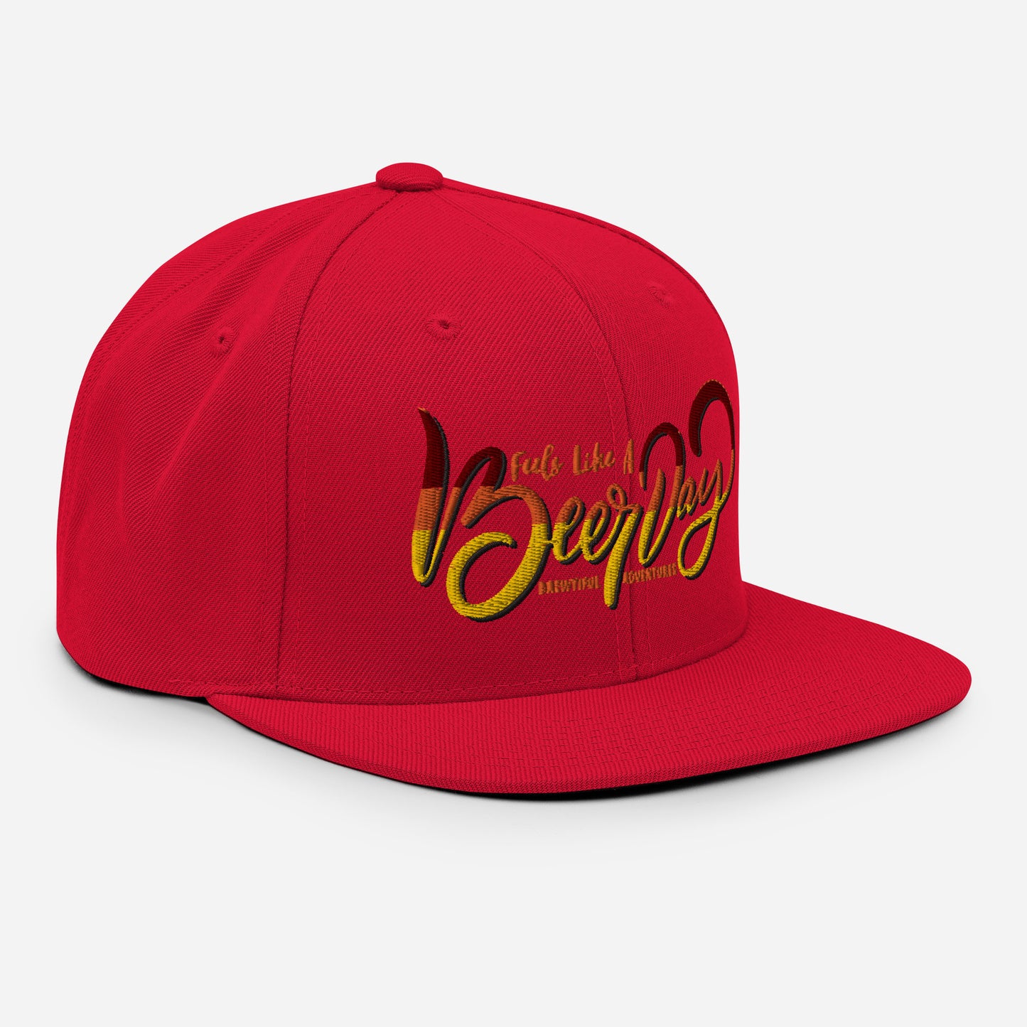 Feels Like A Beer Day Snapback Hat