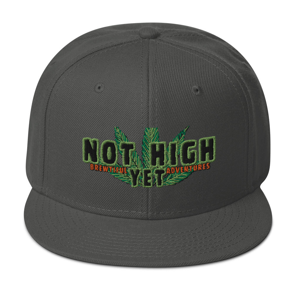 Not High Snapback Hat