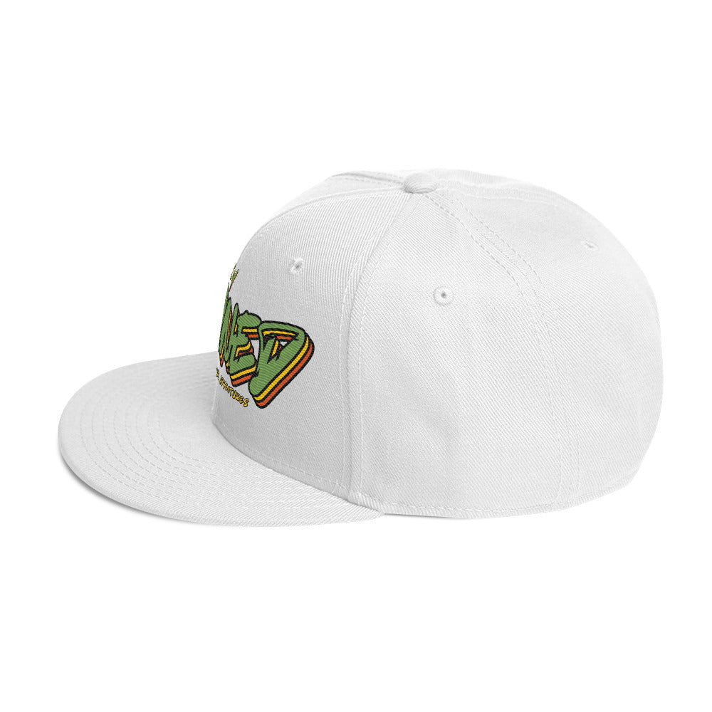 Slightly Stoned Snapback Hat